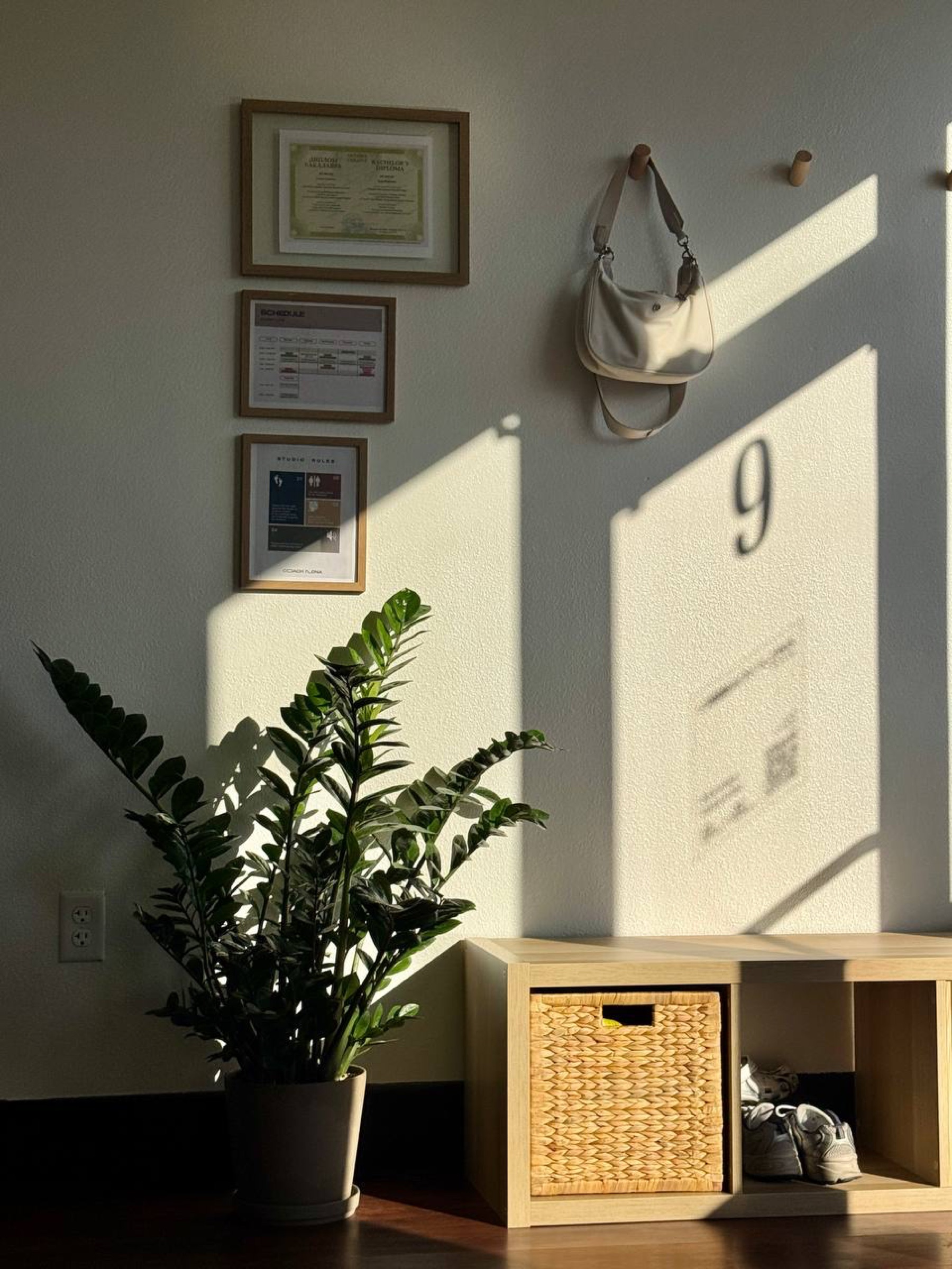 Suite 9 entry wall of Coach Ilona Studio with framed diploma, schedule, and a green plant in evening light